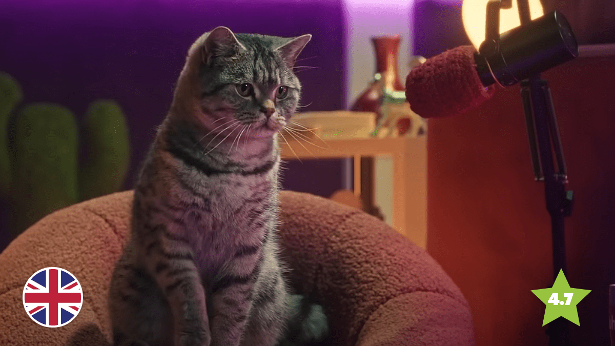 Cats on a Podcast? It’s Another Whiskas Hit