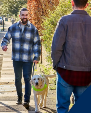 Guide Dogs Takes Audiences on an Emotional Journey with System1 Ad Testing and Guidance  