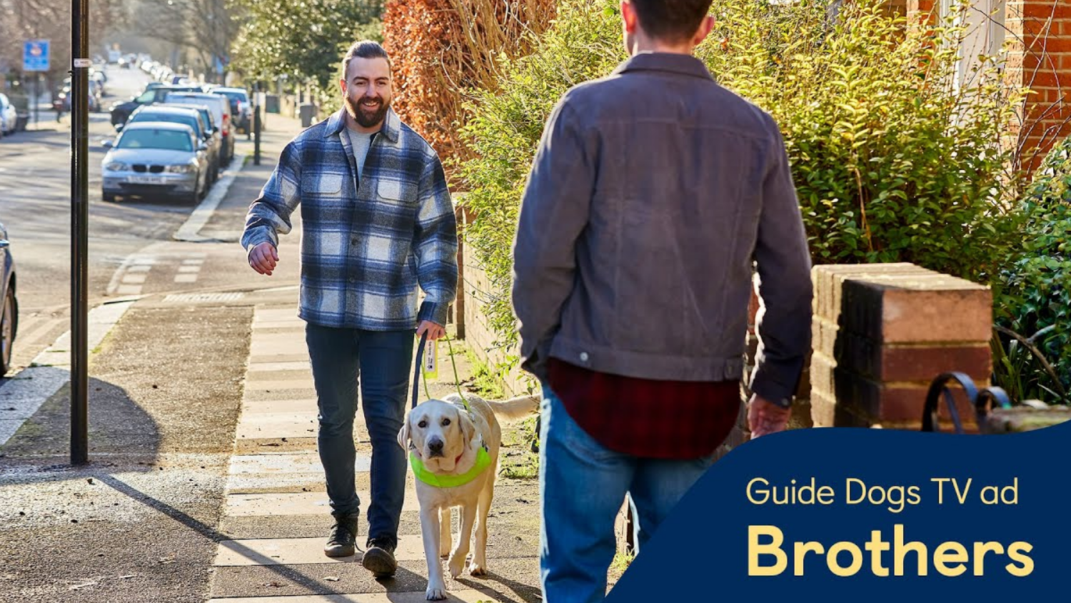 Guide Dogs Takes Audiences on an Emotional Journey with System1 Ad Testing and Guidance  