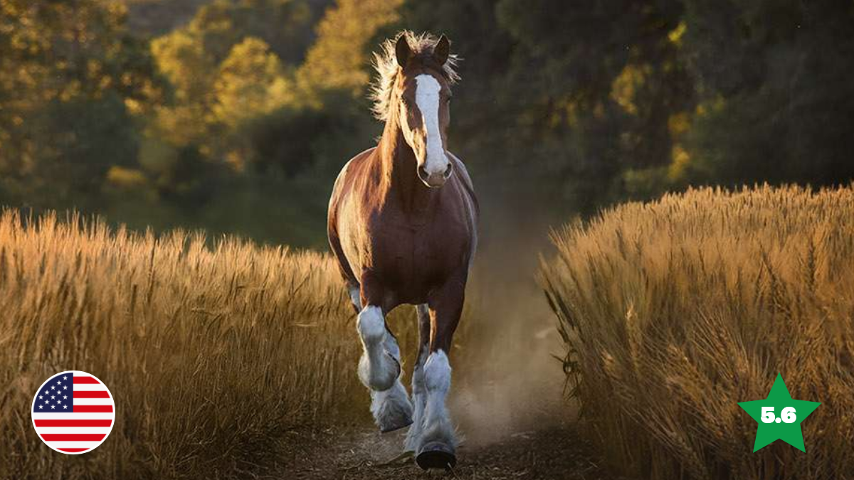 Budweiser Takes Flight With 150th Birthday Classic