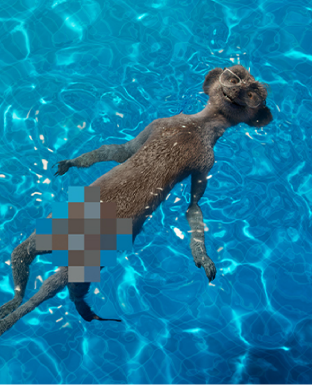 Entertainment Made Simples: Consistency, Pre-Testing & Proven Effectiveness