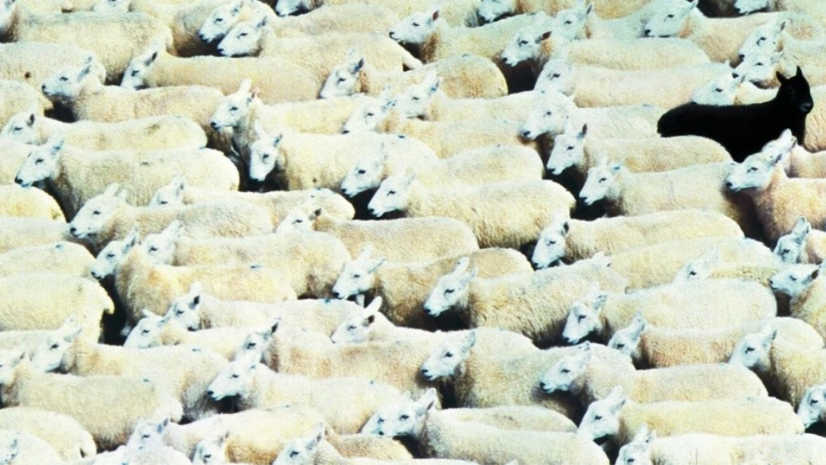 The Cost of Conformity