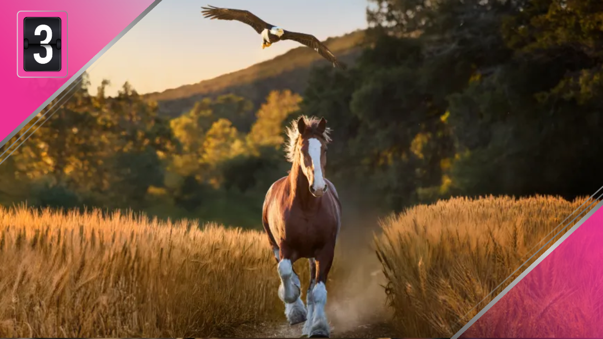 Budweiser Super Bowl 2026 ad American Icons Star Rating