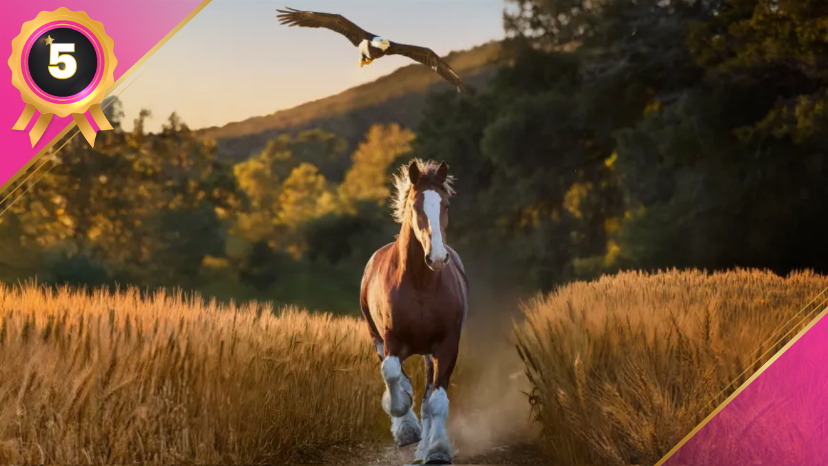 Budweiser Super Bowl 2026 ad American Icons Star Rating