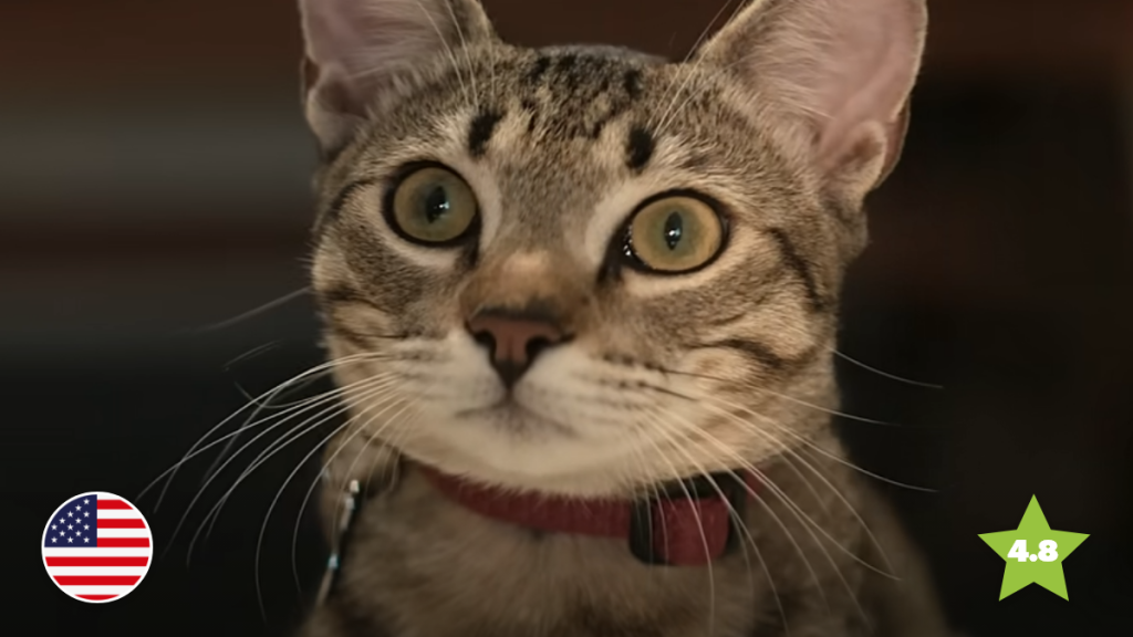 Rover’s Playful Pets Show How to Sell Apps